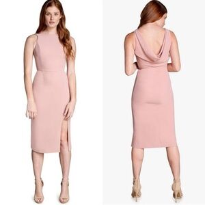 NWT $188 Dress the Population MacKenna Blush Midi
Dress Size M